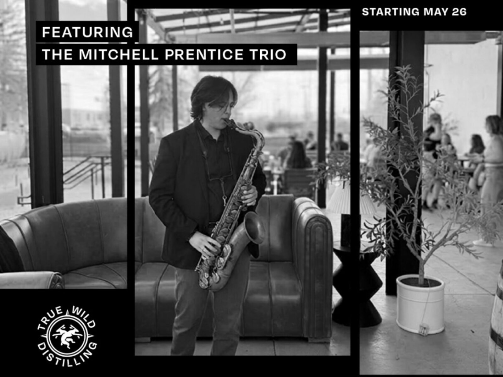 Mitchell Prentice Trio at True Wild Distilling